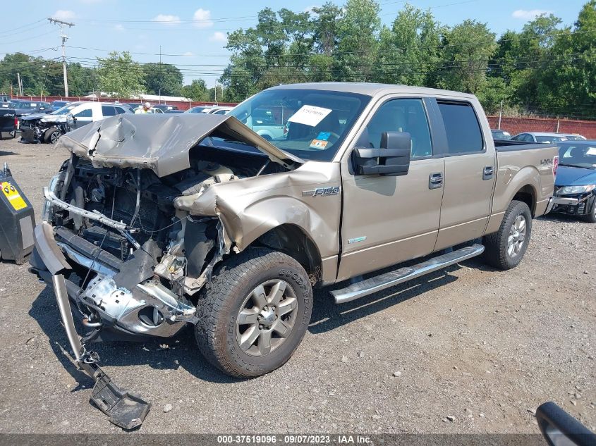 2013 FORD F-150 XL/XLT/FX4/LARIAT - 1FTFW1ET2DFB25943