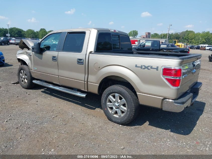 2013 FORD F-150 XL/XLT/FX4/LARIAT - 1FTFW1ET2DFB25943
