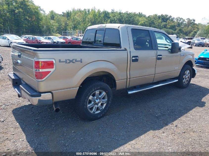 2013 FORD F-150 XL/XLT/FX4/LARIAT - 1FTFW1ET2DFB25943