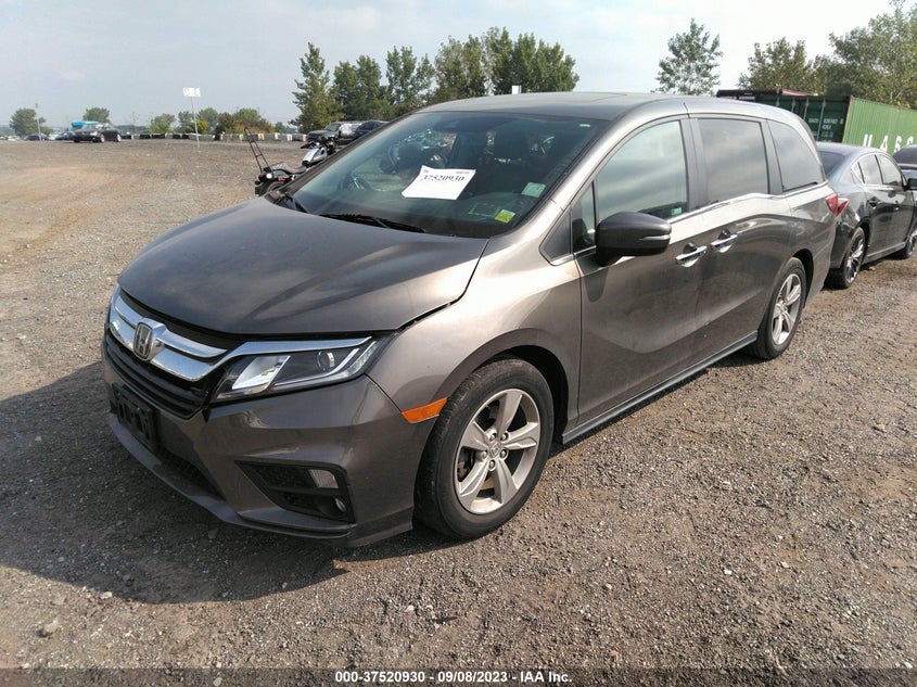 VIN 5FNRL6H71LB058899 2020 HONDA ODYSSEY EXL