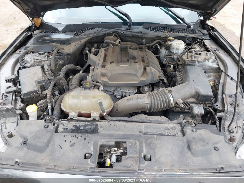 2019 FORD MUSTANG ECOBOOST - 1FA6P8TH5K5159579