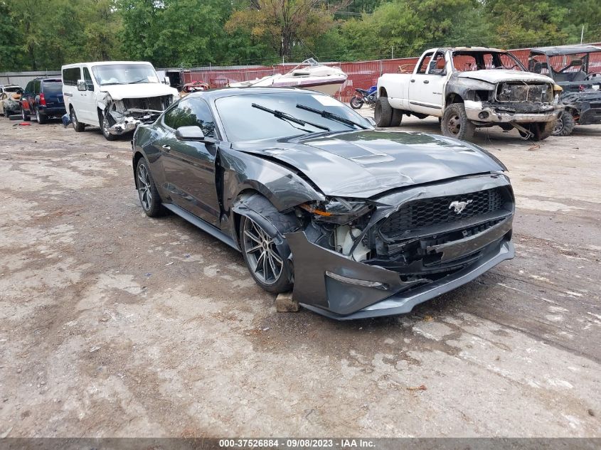 2019 FORD MUSTANG ECOBOOST - 1FA6P8TH5K5159579