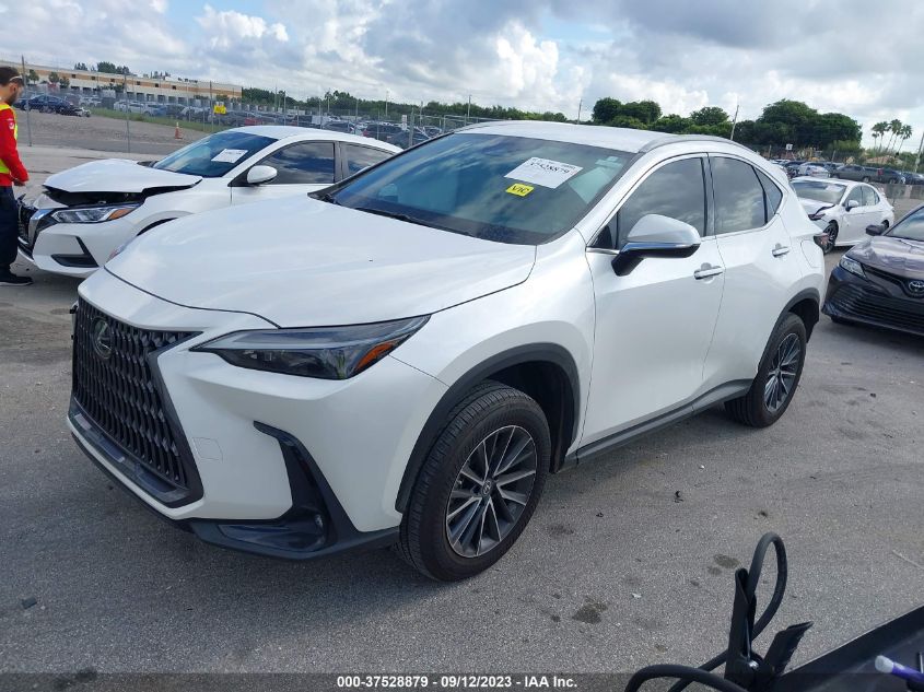 2022 LEXUS NX 2.5L I4   N(VIN: 2T2ADCAZ4NC001619