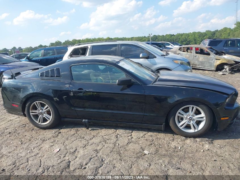 2013 FORD MUSTANG V6 - 1ZVBP8AM6D5251325