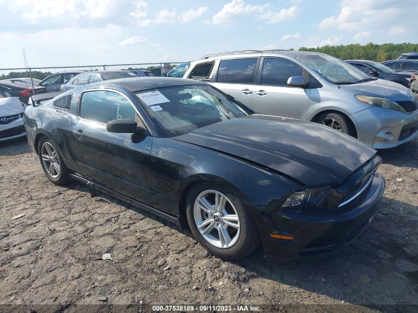 2013 FORD MUSTANG V6 - 1ZVBP8AM6D5251325