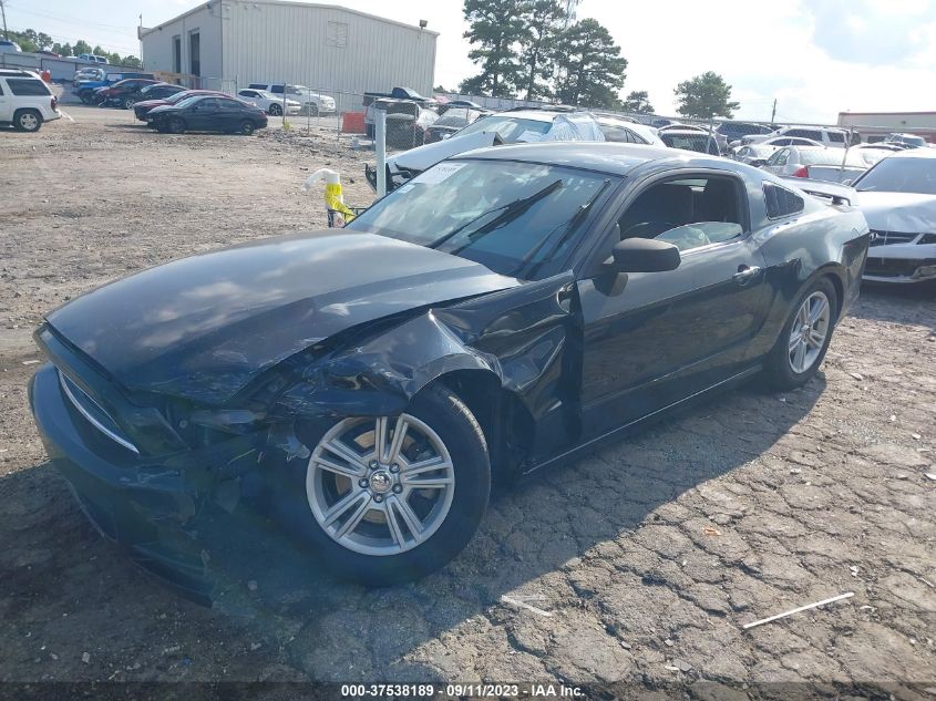 2013 FORD MUSTANG V6 - 1ZVBP8AM6D5251325