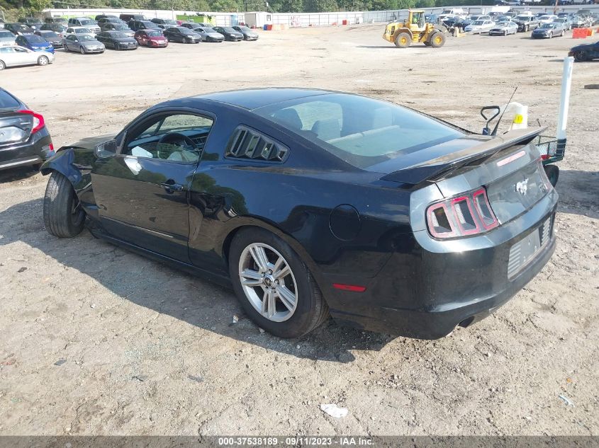 2013 FORD MUSTANG V6 - 1ZVBP8AM6D5251325