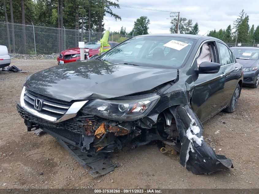2013 HONDA ACCORD LX - 1HGCR2F38DA240687
