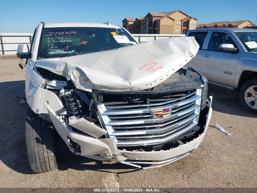 1GYS4DKJ8LR246640 Cadillac Escalade PLATINUM 6