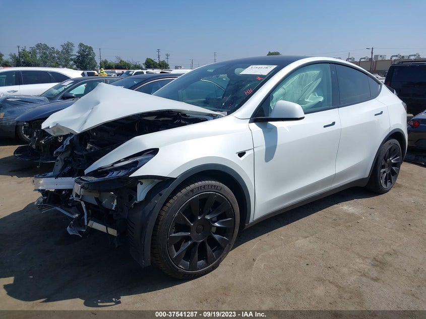 VIN 5YJYGDEE9MF087642 2021 TESLA MODEL Y