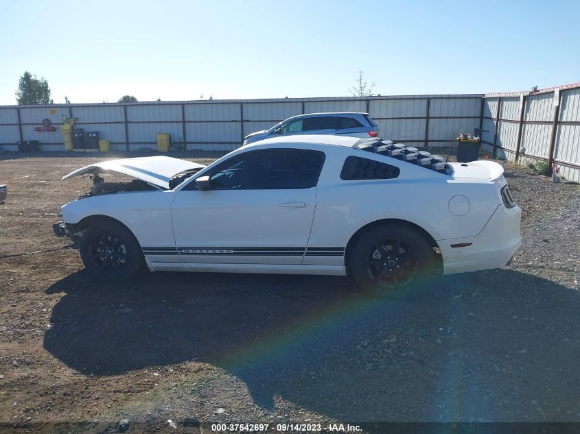 2013 FORD MUSTANG V6 - 1ZVBP8AMXD5242157