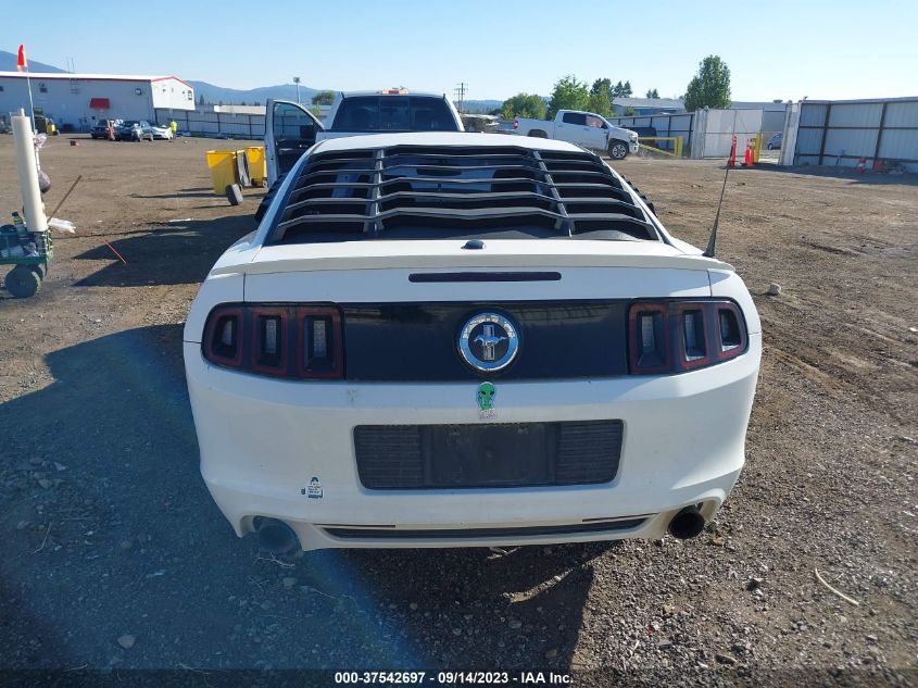 2013 FORD MUSTANG V6 - 1ZVBP8AMXD5242157