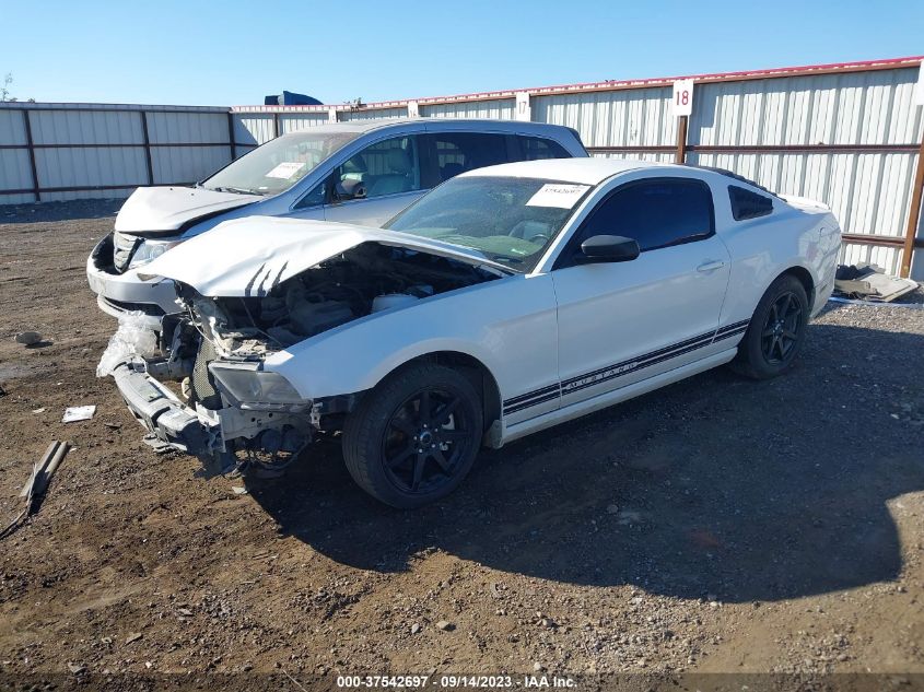 2013 FORD MUSTANG V6 - 1ZVBP8AMXD5242157