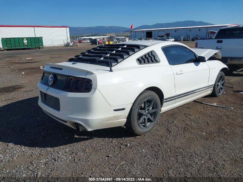 2013 FORD MUSTANG V6 - 1ZVBP8AMXD5242157