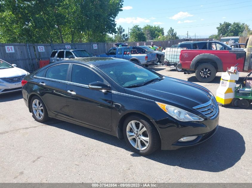 2013 HYUNDAI SONATA LIMITED - 5NPEC4AC6DH679293