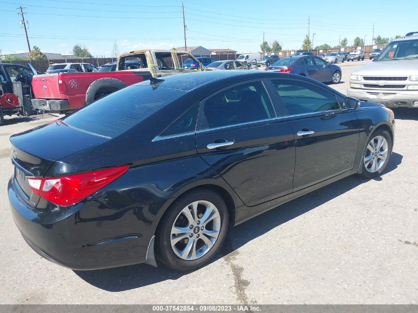 2013 HYUNDAI SONATA LIMITED - 5NPEC4AC6DH679293