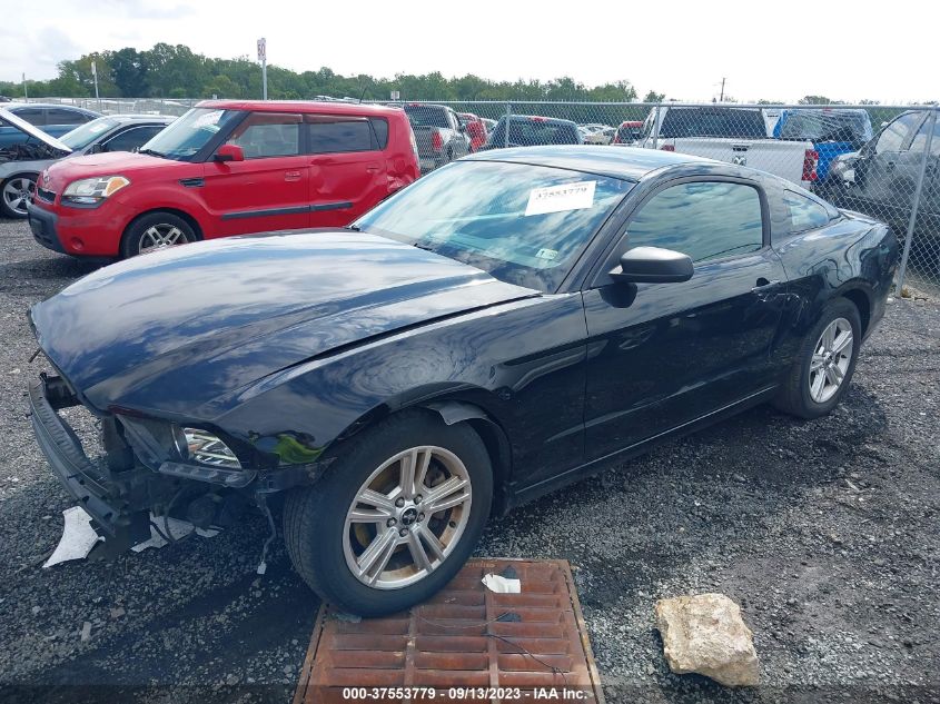 2014 FORD MUSTANG V6 - 1ZVBP8AM2E5223944