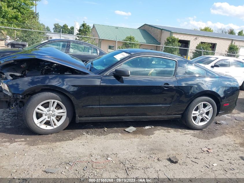 2014 FORD MUSTANG V6 - 1ZVBP8AM7E5331119