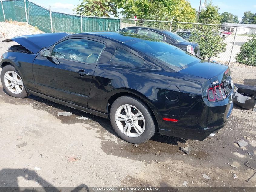 2014 FORD MUSTANG V6 - 1ZVBP8AM7E5331119