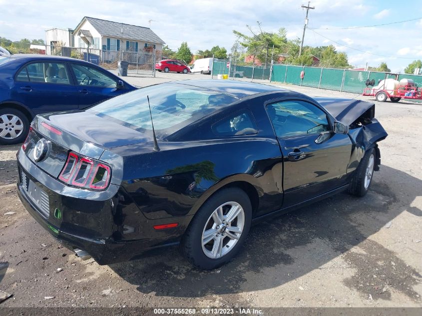 2014 FORD MUSTANG V6 - 1ZVBP8AM7E5331119