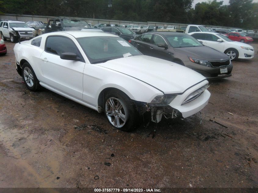 2013 FORD MUSTANG V6 - 1ZVBP8AM0D5226680