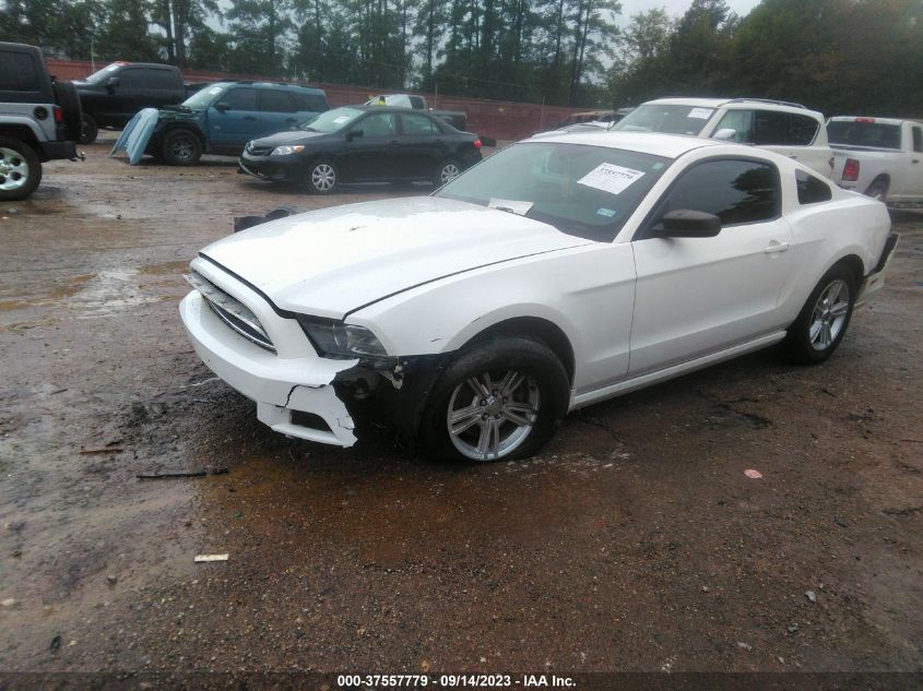 2013 FORD MUSTANG V6 - 1ZVBP8AM0D5226680