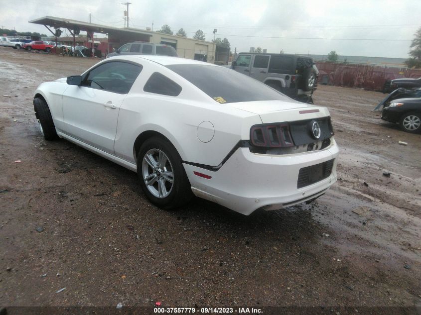 2013 FORD MUSTANG V6 - 1ZVBP8AM0D5226680