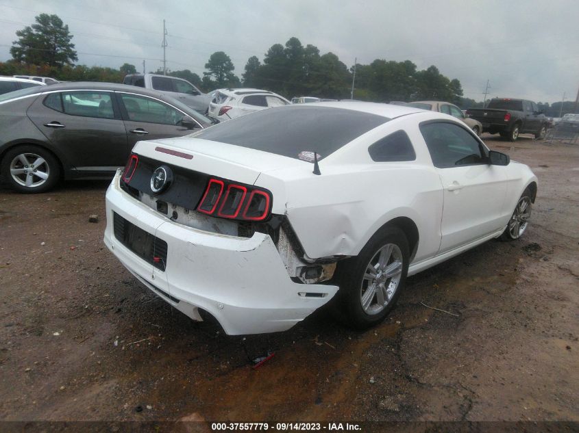 2013 FORD MUSTANG V6 - 1ZVBP8AM0D5226680