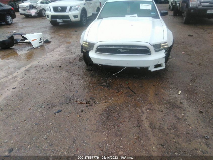 2013 FORD MUSTANG V6 - 1ZVBP8AM0D5226680