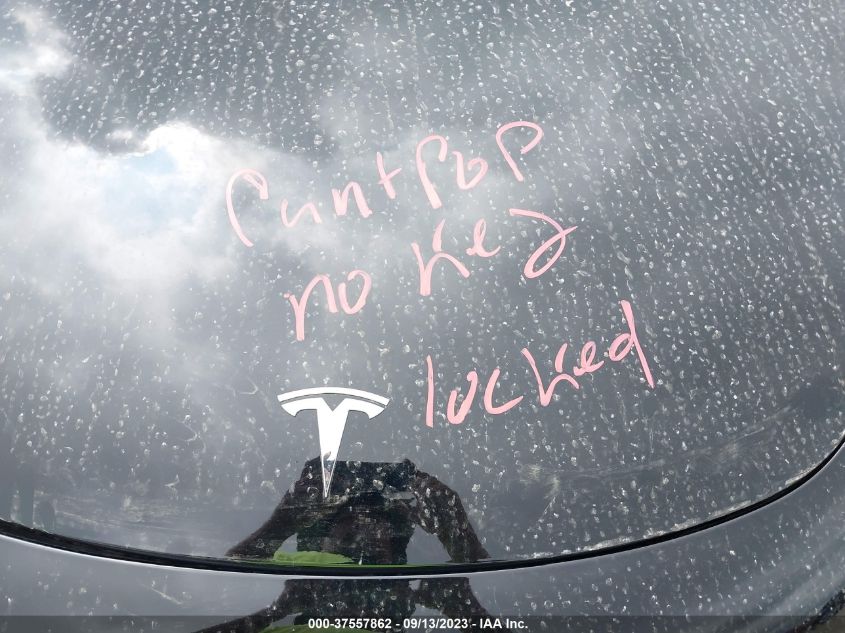 2023 TESLA MODEL 3 - 5YJ3E1EA1PF555251