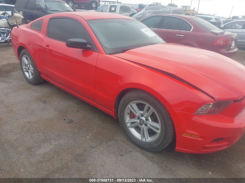 2014 FORD MUSTANG - 1ZVBP8AM3E5320604