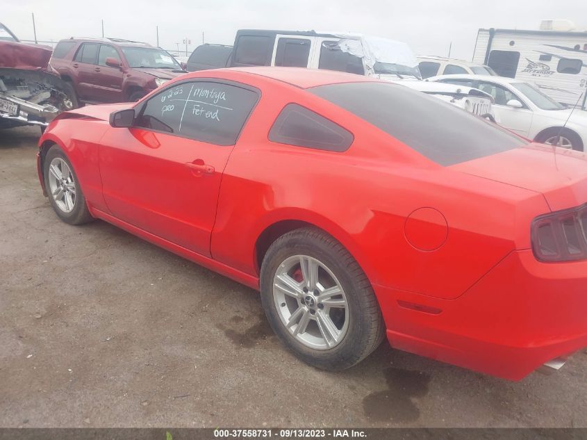 2014 FORD MUSTANG - 1ZVBP8AM3E5320604