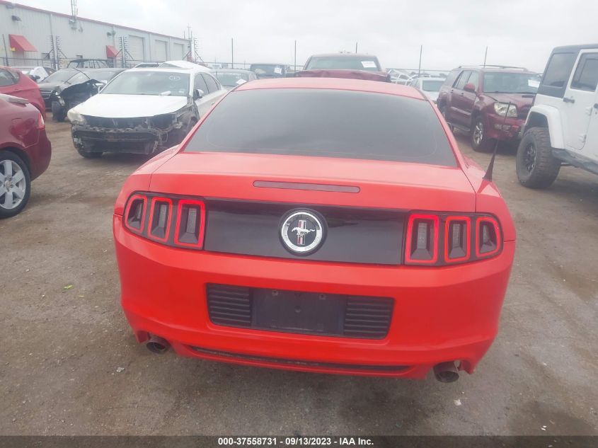 2014 FORD MUSTANG - 1ZVBP8AM3E5320604