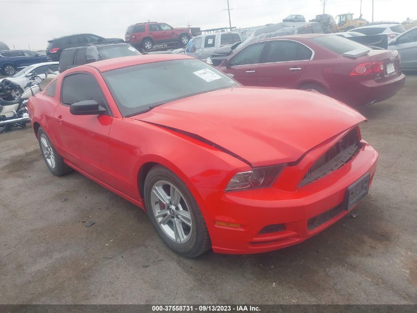 2014 FORD MUSTANG - 1ZVBP8AM3E5320604