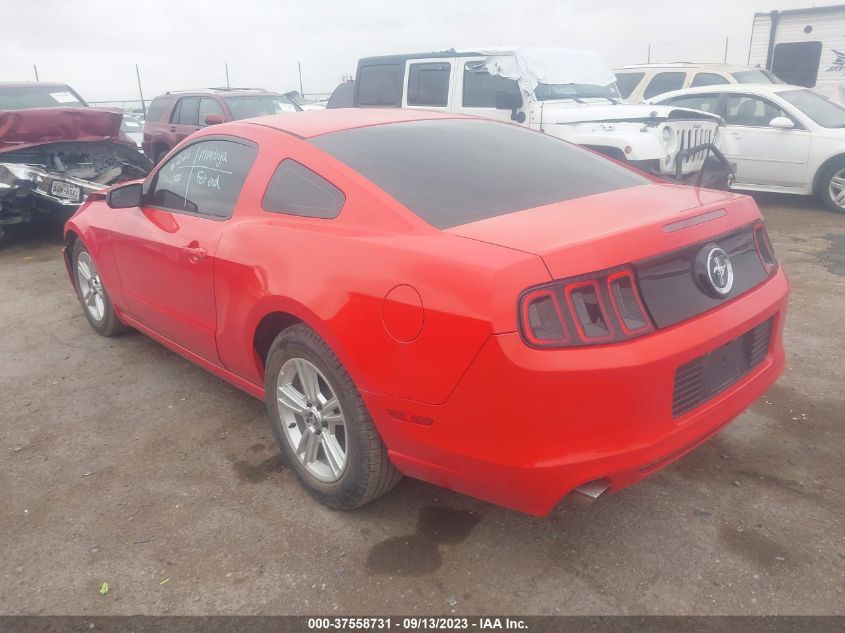 2014 FORD MUSTANG - 1ZVBP8AM3E5320604