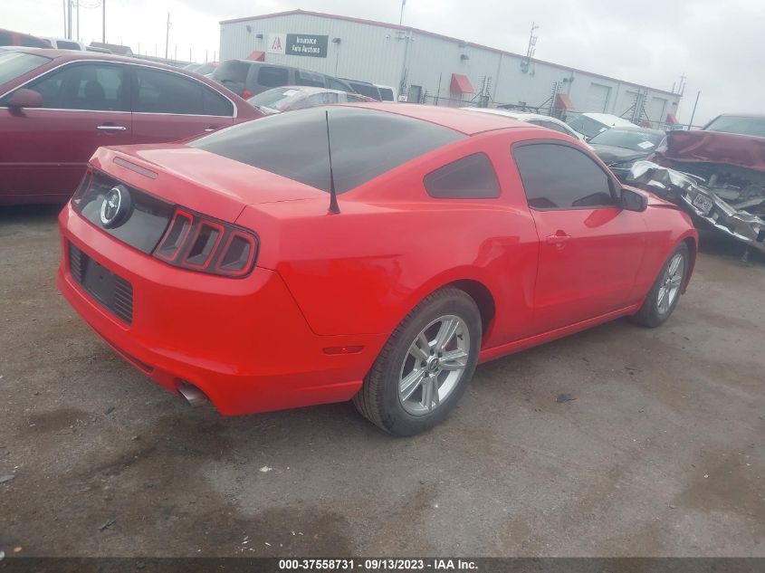 2014 FORD MUSTANG - 1ZVBP8AM3E5320604