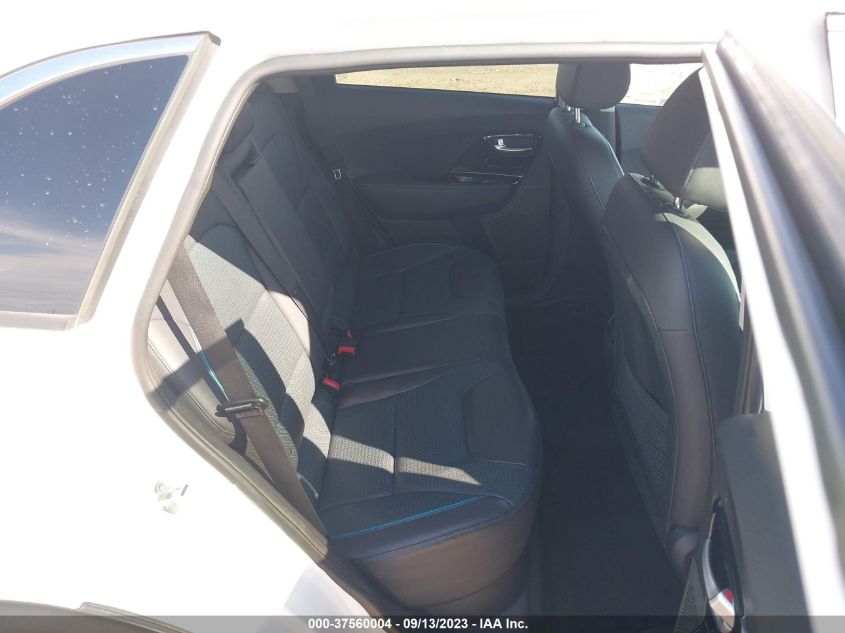 2020 KIA NIRO EV EX PREMIUM - KNDCE3LG6L5080047