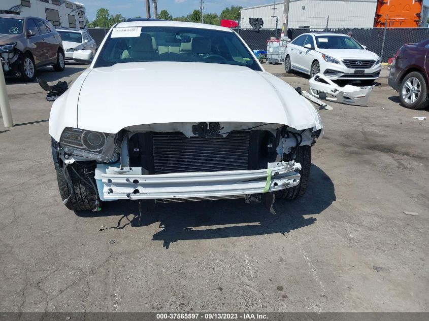 2013 FORD MUSTANG V6 - 1ZVBP8AM0D5221236