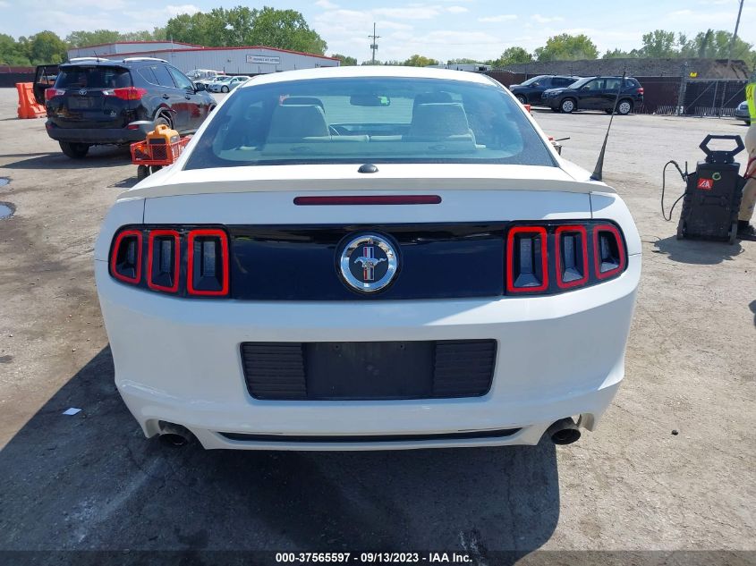 2013 FORD MUSTANG V6 - 1ZVBP8AM0D5221236