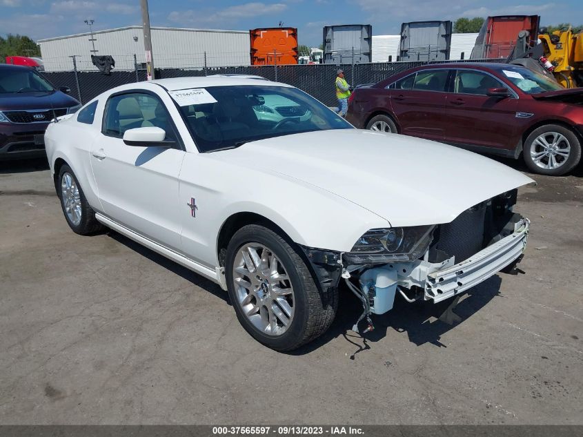 2013 FORD MUSTANG V6 - 1ZVBP8AM0D5221236