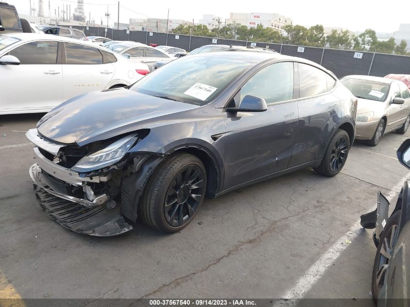2022 TESLA MODEL Y - 7SAYGAEEXNF492914