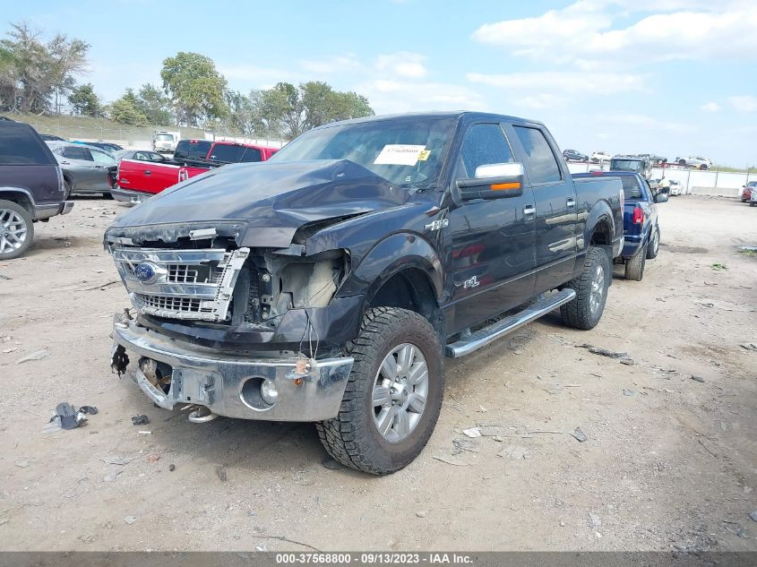 2013 FORD F-150 XL/XLT/FX4/LARIAT - 1FTFW1EF0DKD53893