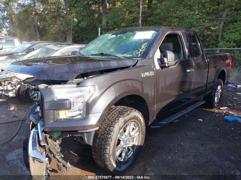 2015 FORD F-150 XLT/XL - 1FTEX1E85FKE57499