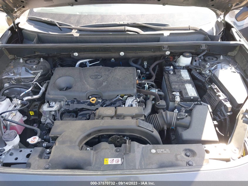 VIN 2T3F1RFV9MC228550 2021 TOYOTA RAV4 LE