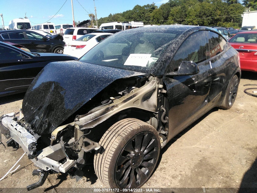 VIN 7SAYGDEF6NF539978 2022 TESLA MODEL Y