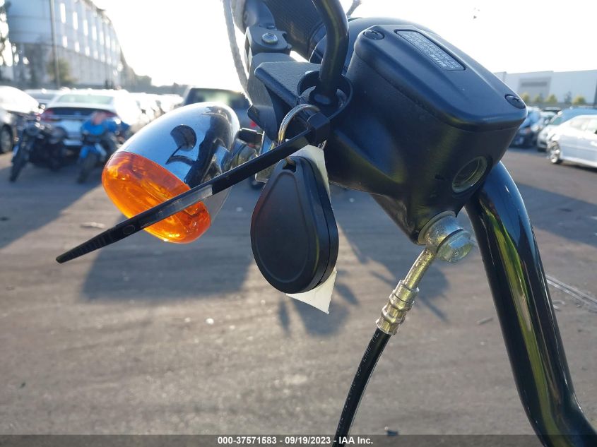 2019 HARLEY-DAVIDSON FLSB - 1HD1YMJ62KB064991