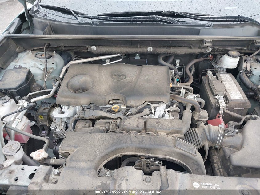 VIN 2T3C1RFV2KC029694 2019 TOYOTA RAV4 XLE PREMIUM
