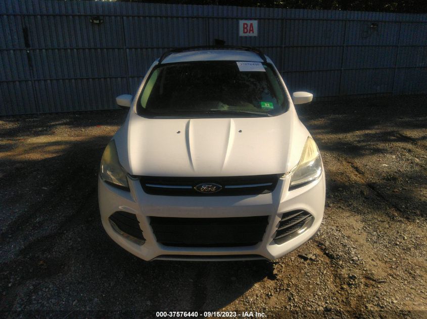 2013 FORD ESCAPE SE - 1FMCU0GX9DUA00867