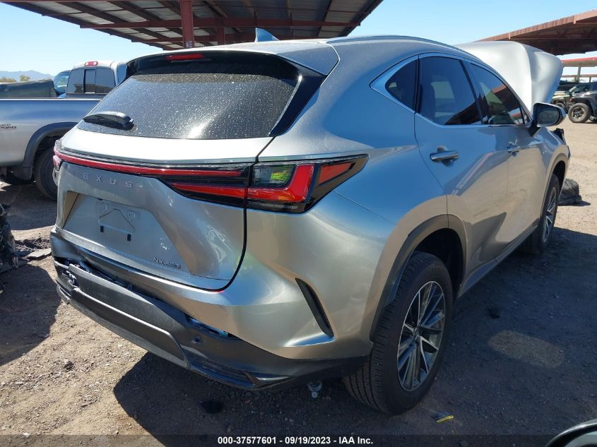2022 LEXUS NX NX 250 JTJADCAZ1N5000359