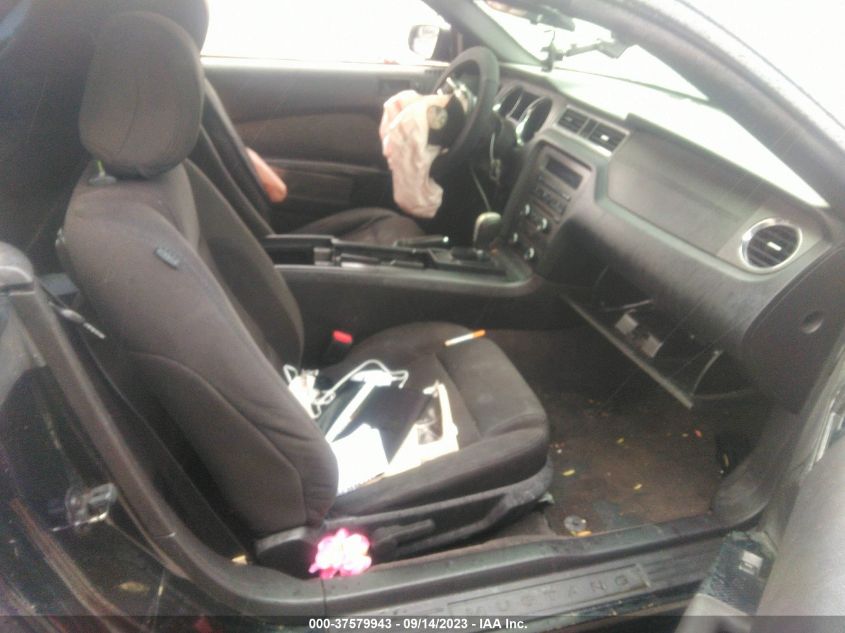 2013 FORD MUSTANG V6 - 1ZVBP8EM6D5236687
